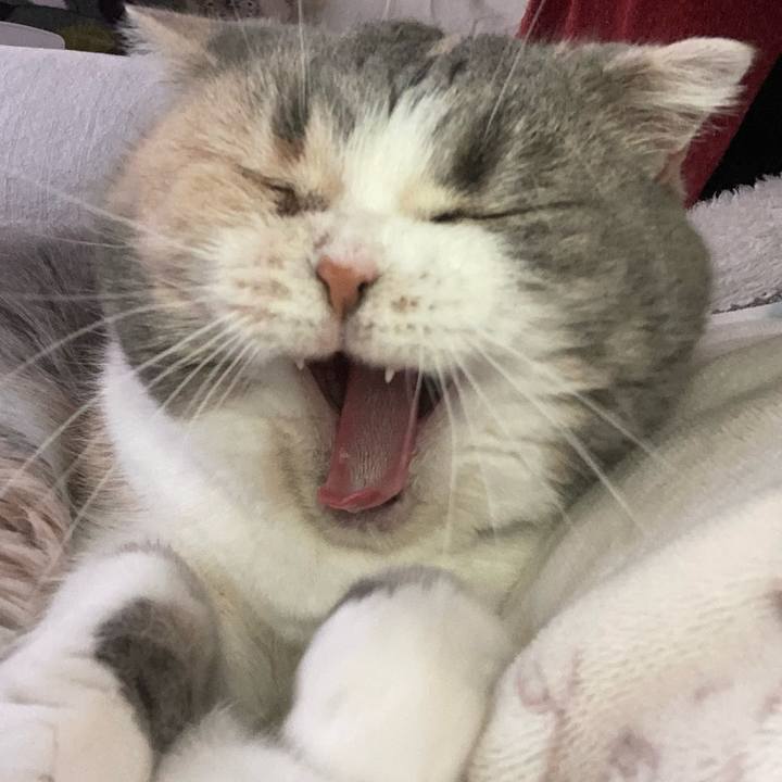 Da56530d d042 4a66 852f 22dfb55872f0 1645091089786