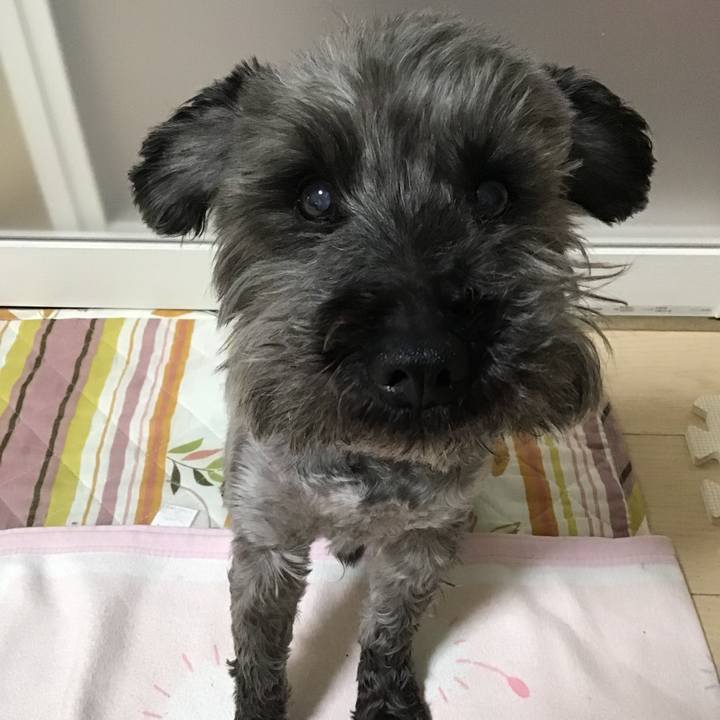 Da5667a6 3886 47ef a0b8 128dcb91c2ad 1524497360247