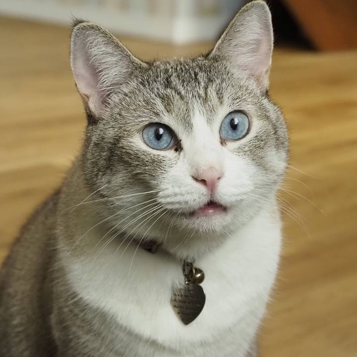 Da5673c8 105f 4cb4 9675 2666ed0c7b08 1627989292059