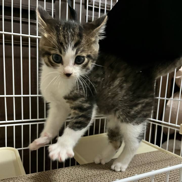 Da567a6f 9e40 4ae7 8355 ef5da681b70e 1764715776531