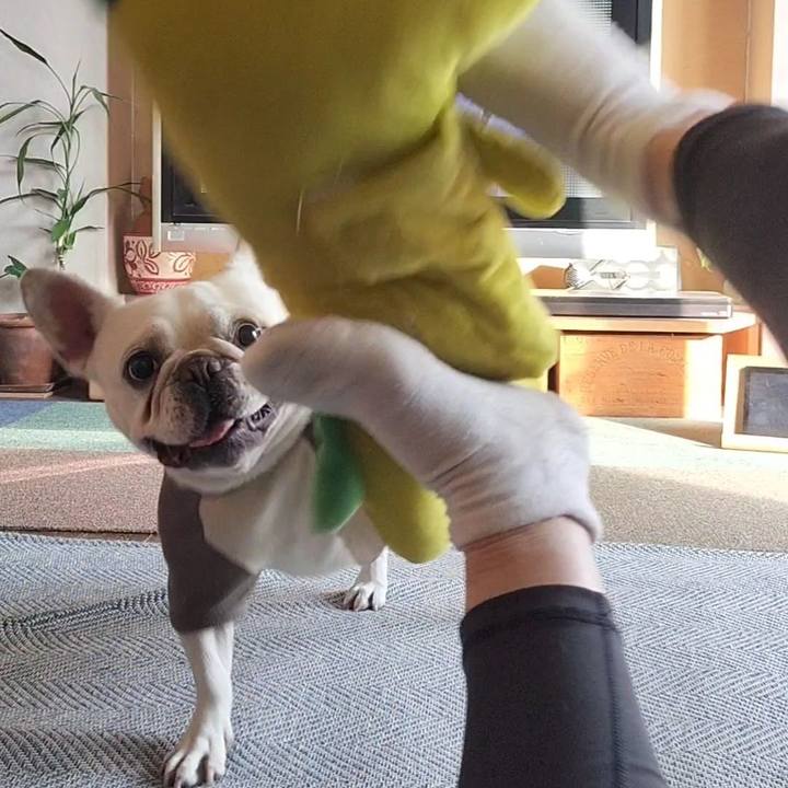 Da56a984 af71 426f be02 e3d913119cbd 1678660176239