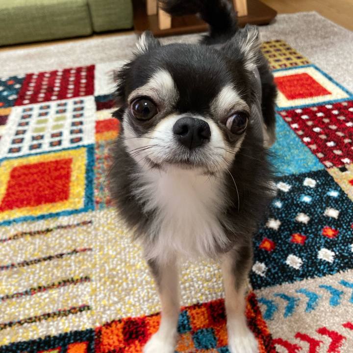 Da56af74 f5d8 41c2 a8ae 860d7fa73e17 1683992487134