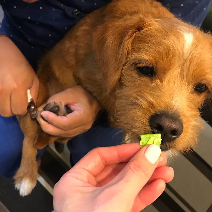 Da56b95e e84e 4370 a37a c172c31d8d4a 1527747689426