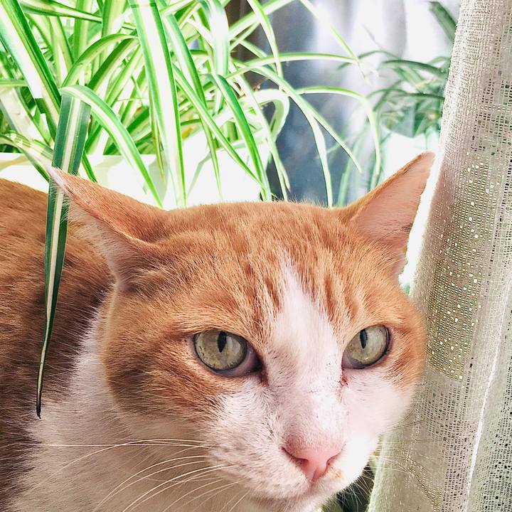 Da56c506 d530 4039 976d 75a533af697a 1574140394449