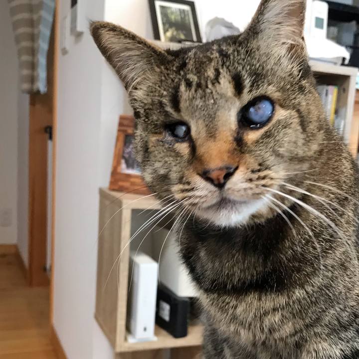 Da57025e 7351 43e7 8071 ec6953cc9635 1618556878922