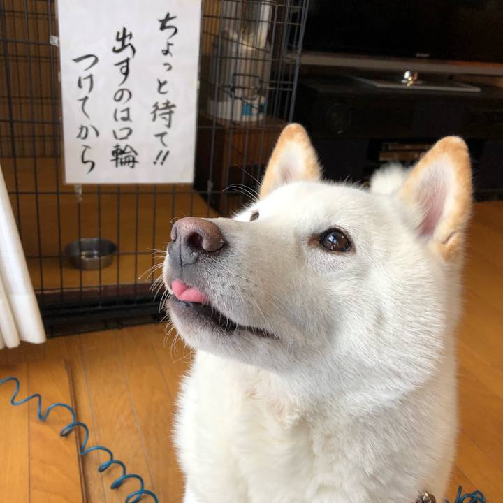 Da572780 0c83 4721 8000 fcdb7b3d937a 1577858807666