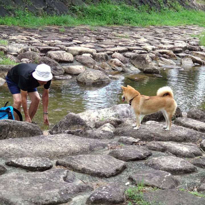 Da576408 8587 49ce 8663 b35117ee541a 1660965610307