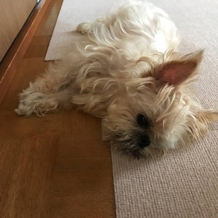 Da578203 044f 4996 8ba4 90e814ea36b8 1597879596518