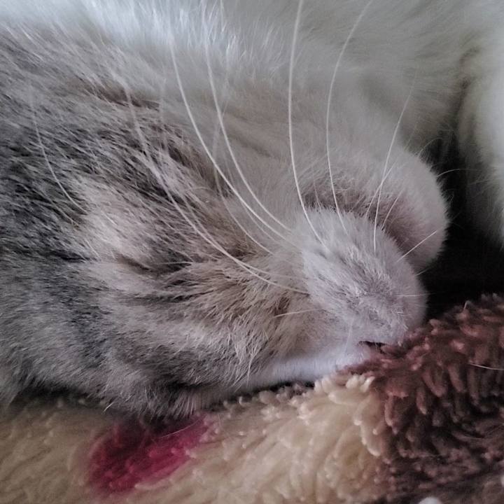 Da578e61 14a1 4c86 8845 b556afc383cb 1706093388647