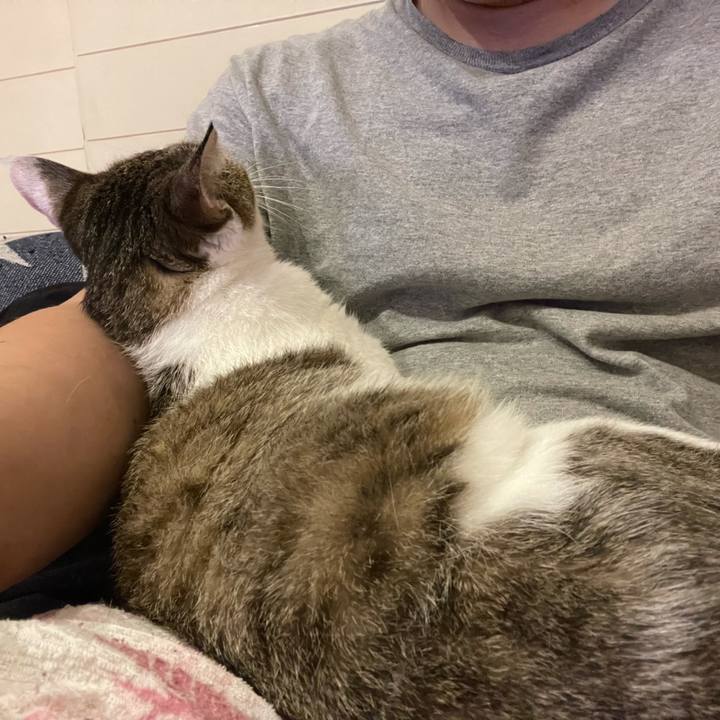 Da579247 5989 4ee8 b786 0823ad420093 1629365415370