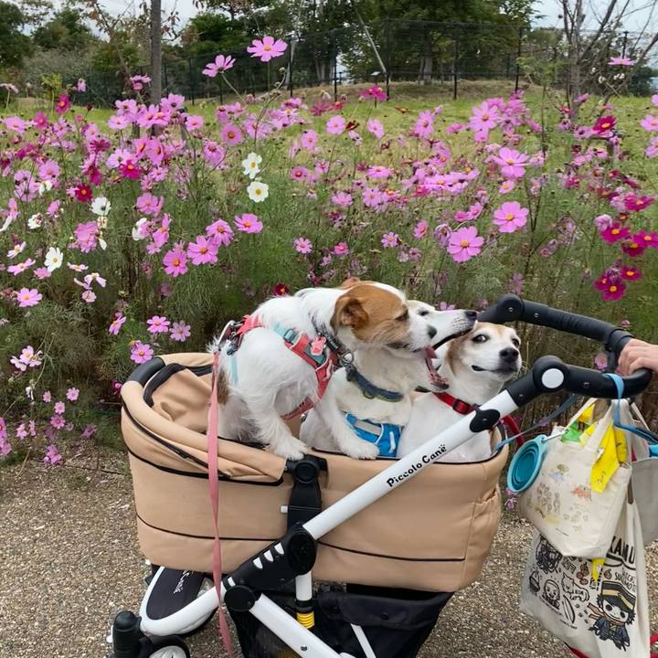 Da579ae4 7191 43ee 9f62 c046e01ee885 1699089961092