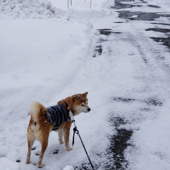 Da57ea2d c8e5 4f93 866c 8f67e8cfd867 1580964877327