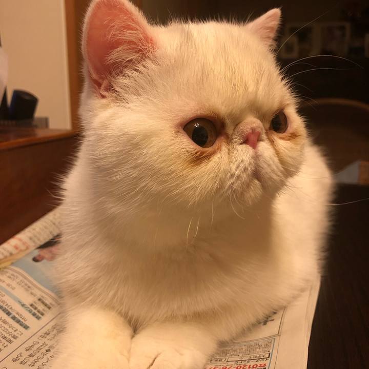 Da580051 8fac 4511 a778 b91372849ad0 1568295618074