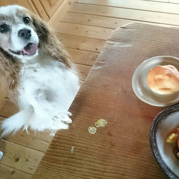 Da58043b 7e1f 4cfb 8839 1f3e43221e4a 1564530140297