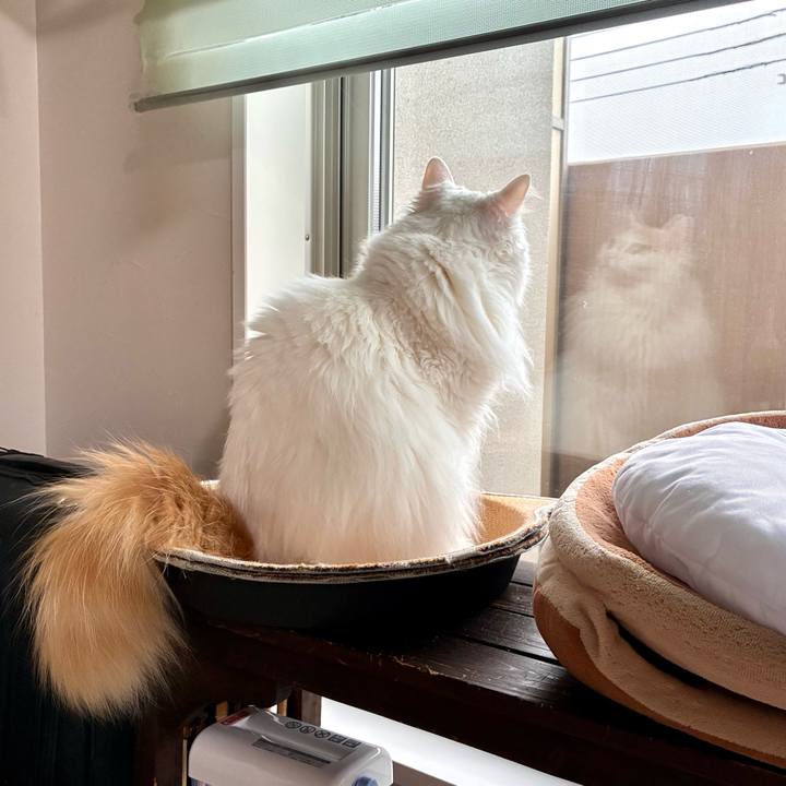 Da5806a8 7af8 49db a6da fe3fd5f1de43 1775532585350