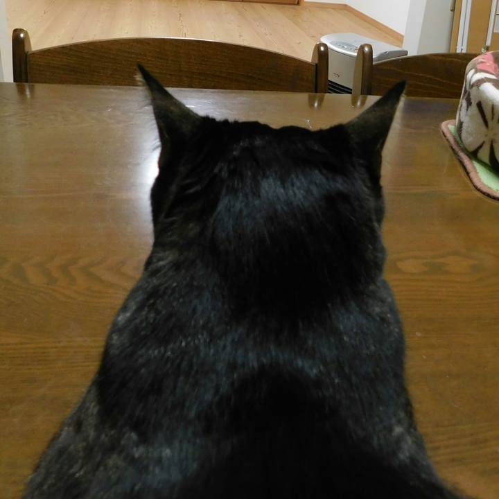 Da5817ec 318f 4d70 adfe 6ef28bfaadc0 1519362266526