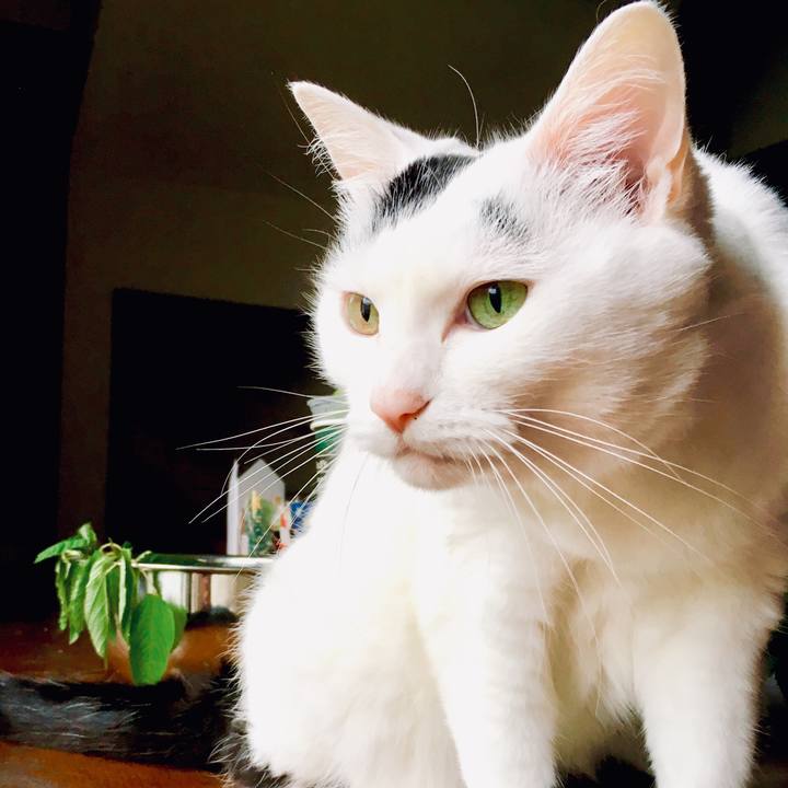 Da582006 53bb 4288 95bd 3ce09cd02fed 1563867231507