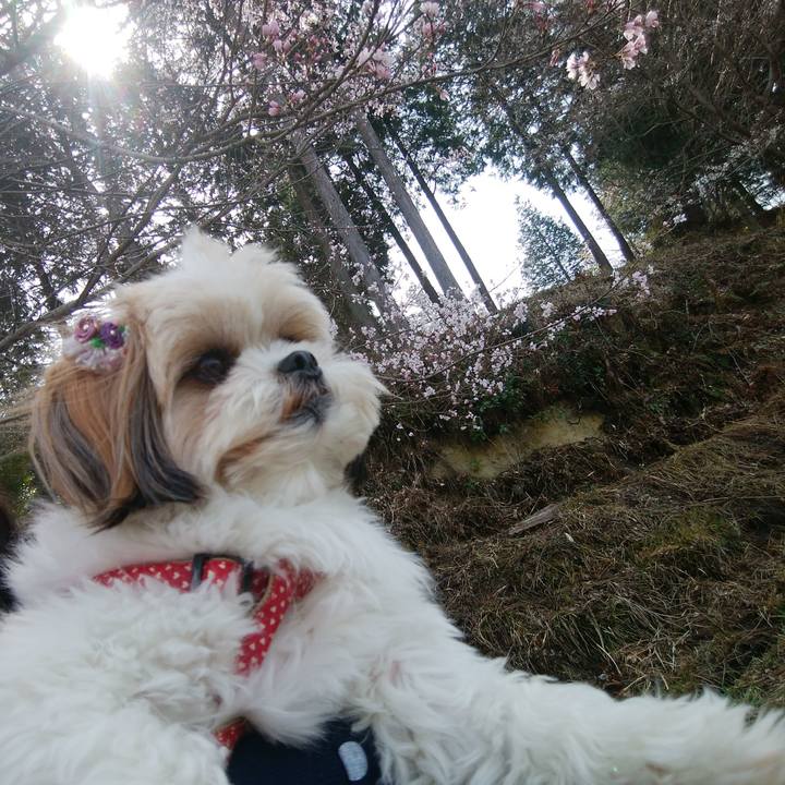 Da589142 1fbc 4359 9353 d1aa2300856c 1522301322926