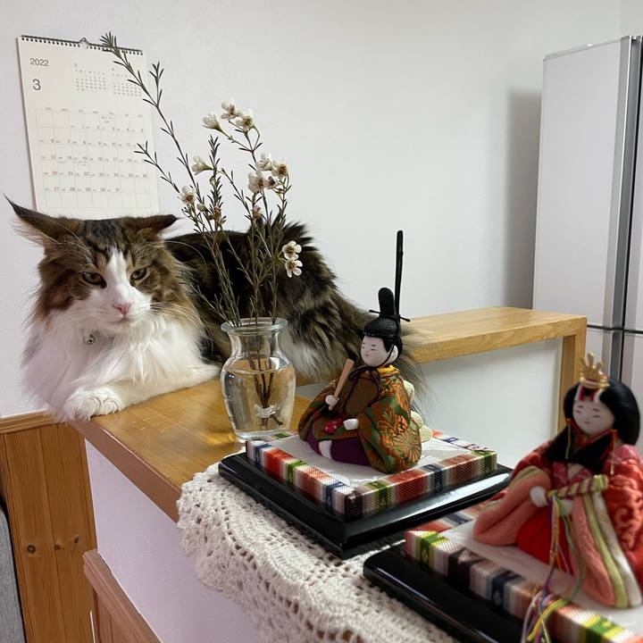 Da58a6fa fb24 4b01 8688 95782771aa26 1645998601562