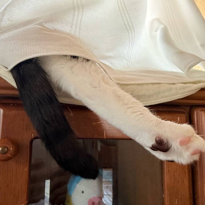 Da58bdbd 2c6c 4973 8e91 56b65f7d655b 1751767399947