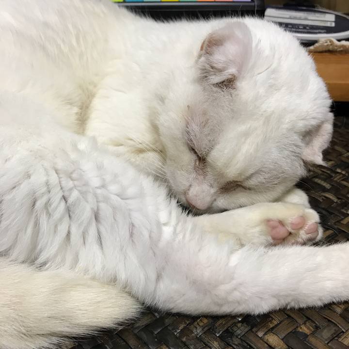 Da58e3de 81e3 49f5 a800 7f96983517f5 1534753212903