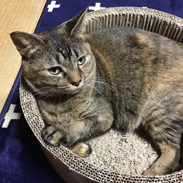 Da58f6ff fcc0 4591 ac6f 5ffd4e1b7011 1705717824080