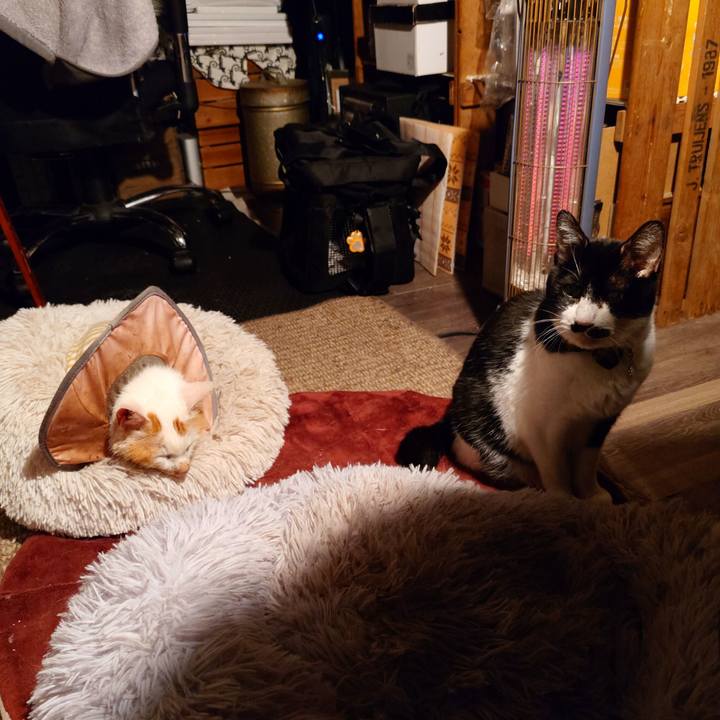 Da590219 cfb7 4ef2 8982 9ed8e839d052 1761492576838