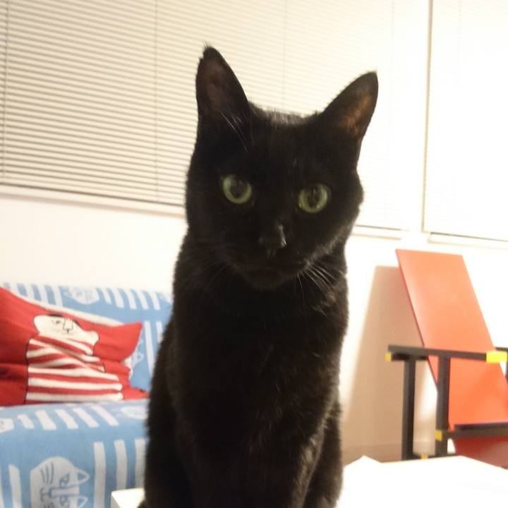 Da591892 688b 4ee3 a246 083345e8c480 1529064830157