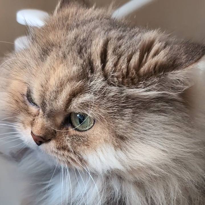 Da594e86 d237 4f1b 85f9 57cc1c2c719c 1732058513417