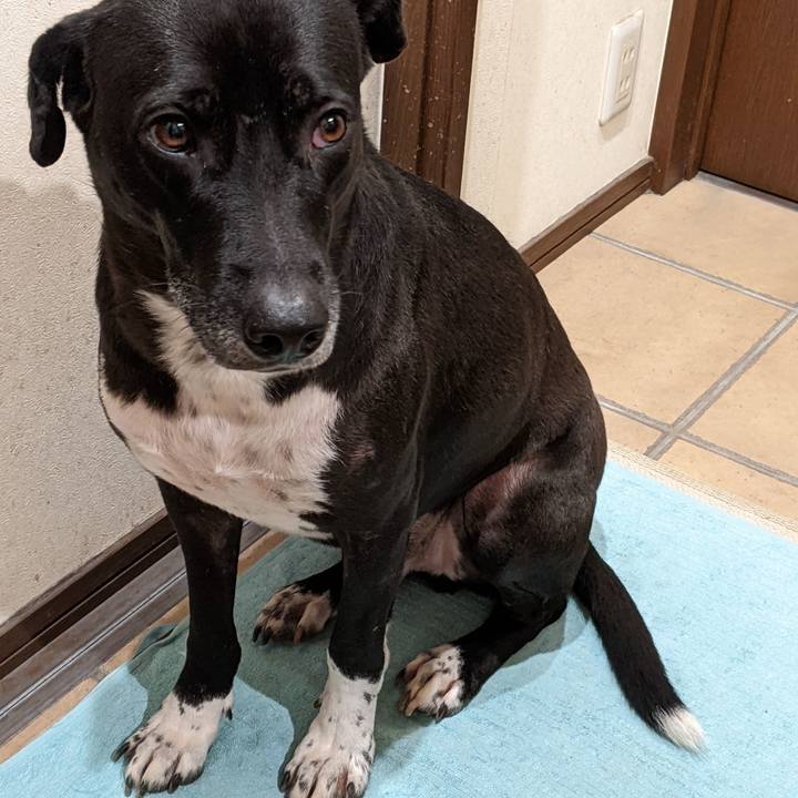 Da5978c5 b593 47fd 8725 cb10bd92196e 1639392683722