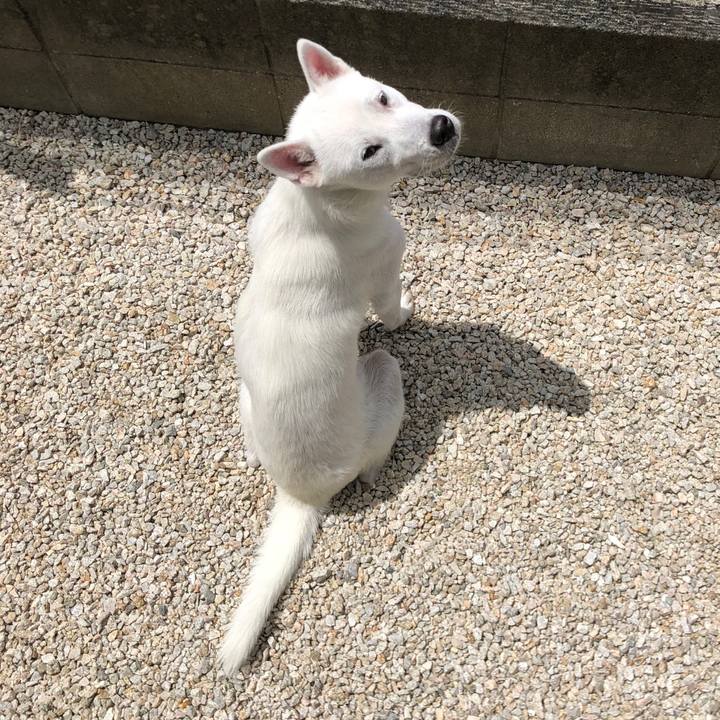 Da59bfeb b5a7 4757 b438 133039912dcc 1534998098294