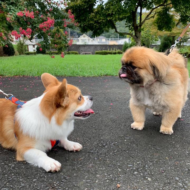 Da59cfe0 2098 4dd4 8520 61f170de53f7 1599901378785