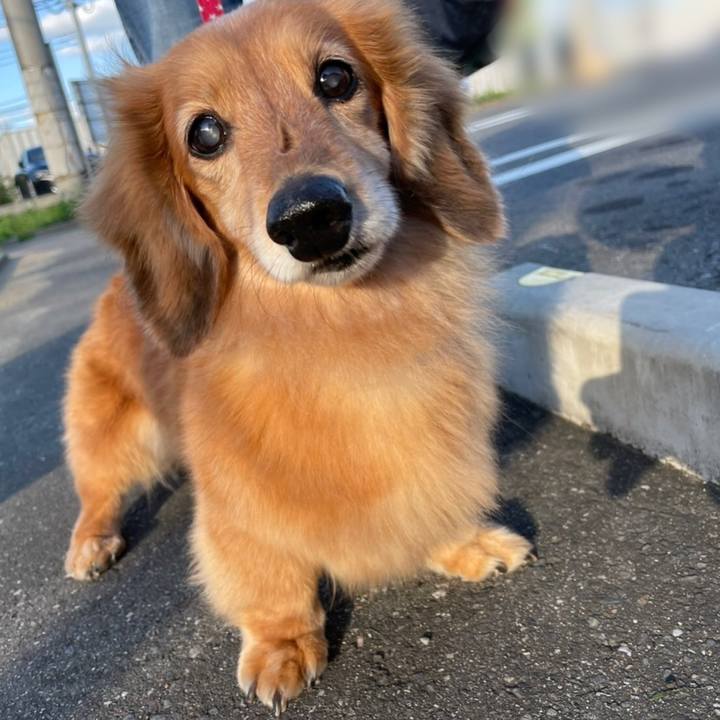 Da59f060 7494 4132 a04e fe30bac3dbbf 1635075988229