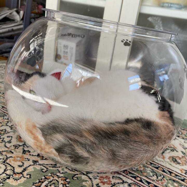 Da5a2175 7187 4929 a90e acda83bf7796 1722293633948