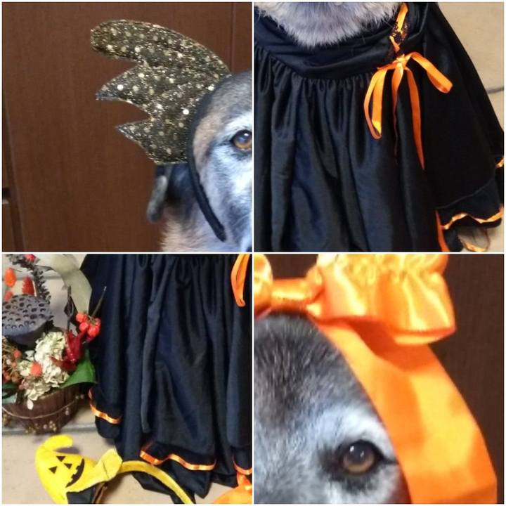 Da5a24cd d429 48e6 9b15 23dfec536d1c 1572093503960