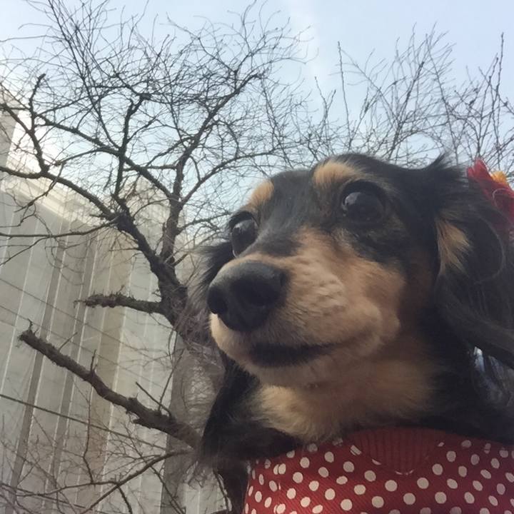 Da5a59e8 bf89 452c a5f9 463fbb98f649 1545265311821