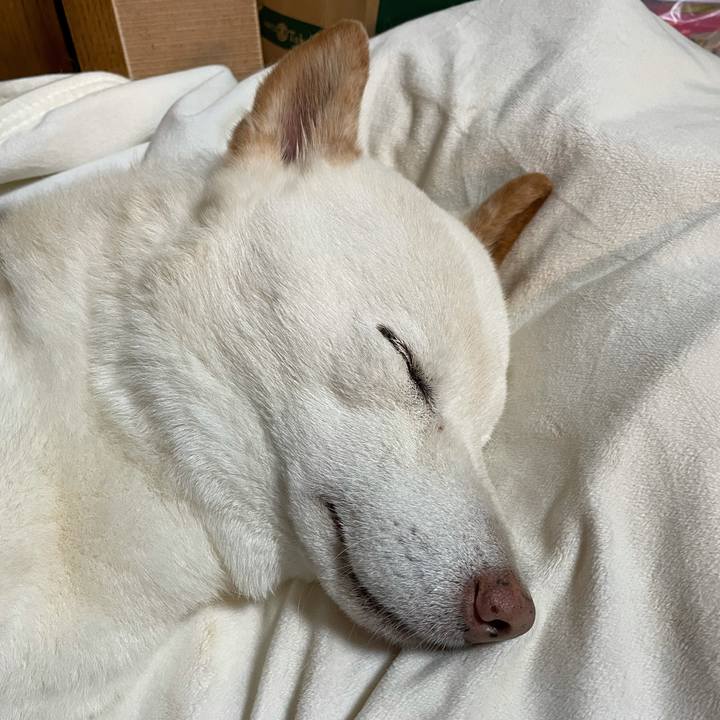 Da5a654e 3b9c 489e 95e5 f5a0f2949da1 1634401250821