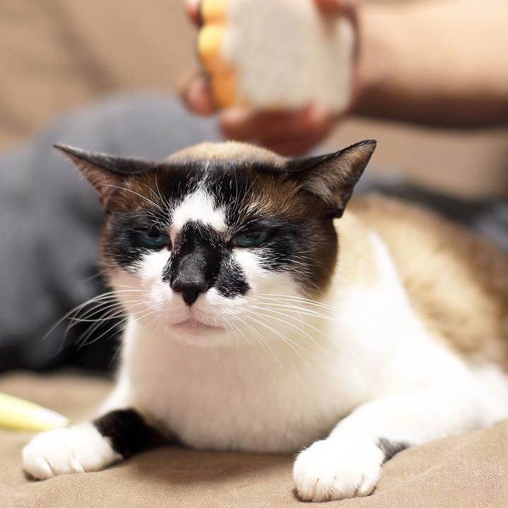 Da5a79d8 05b2 4767 bb32 391a82ccaf02 1528627768815