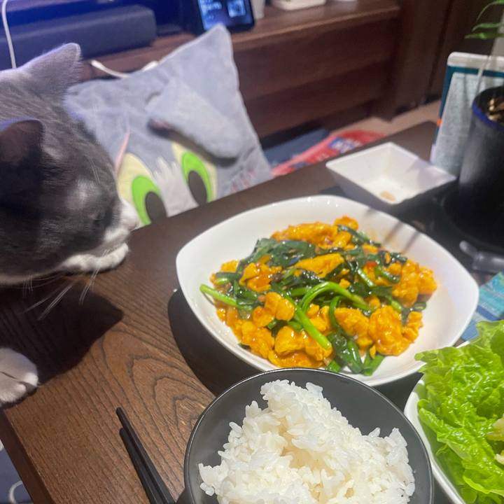 Da5a7ed6 1aab 4ffe b78b 208e687becf3 1730893209927