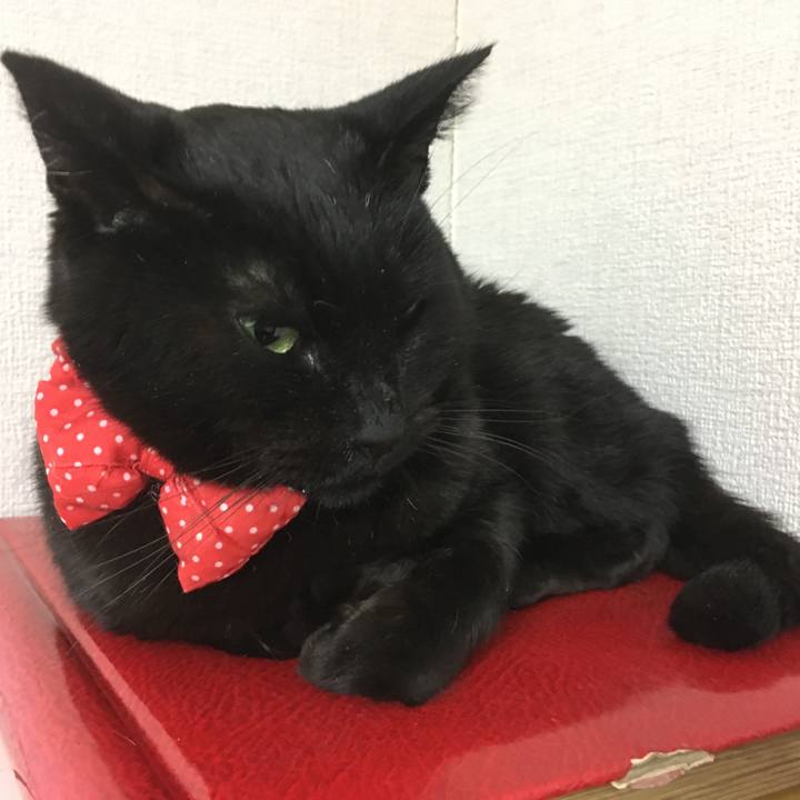 Da5a9ea7 420b 4898 93ba 7cb0a9b3c672 1551004641530