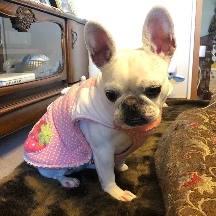 Da5ab052 3428 4289 872b a351a6b4c269 1577701216479