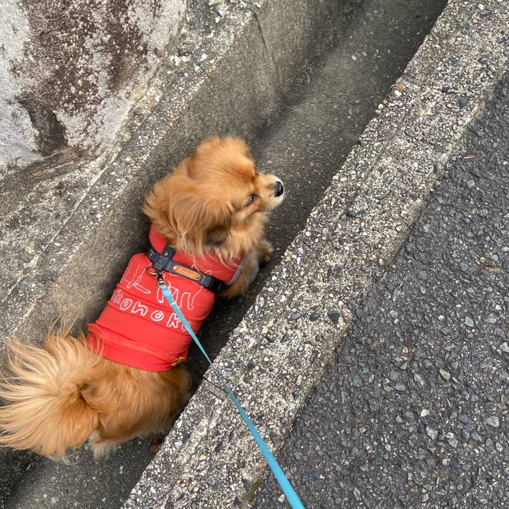 Da5ab075 e61a 4818 bd12 d8dfa7bac5ad 1613263440831