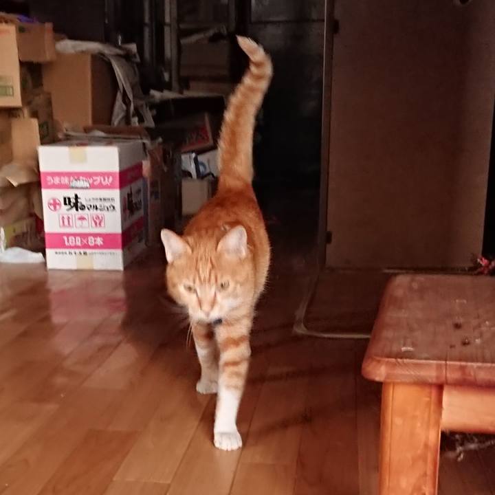 Da5ab556 fd46 43f6 80cd e5d87cecb140 1568366393640