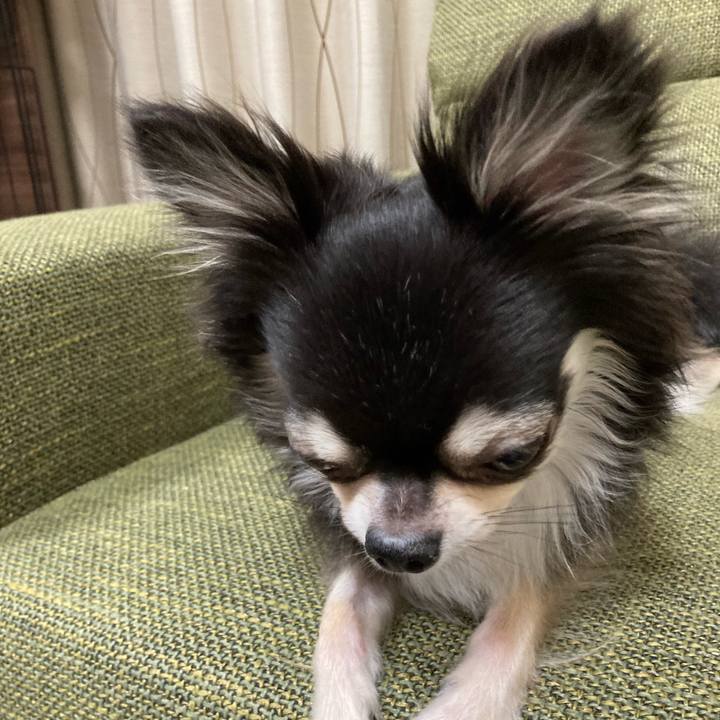 Da5acbe3 3742 4600 b373 d2b77abd8e9a 1661090798972