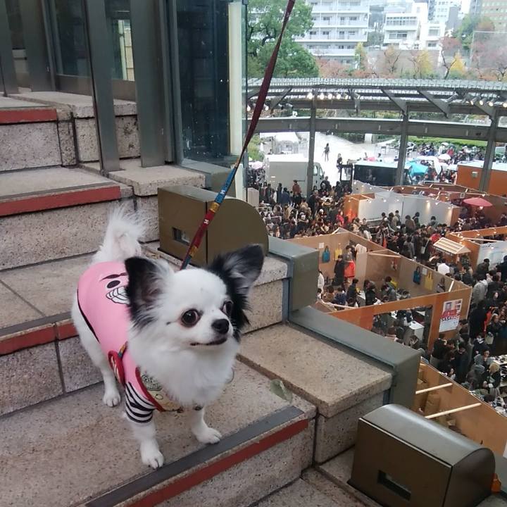 Da5ad360 5ecc 4cd3 8de5 2d581c1516e1 1511006150277