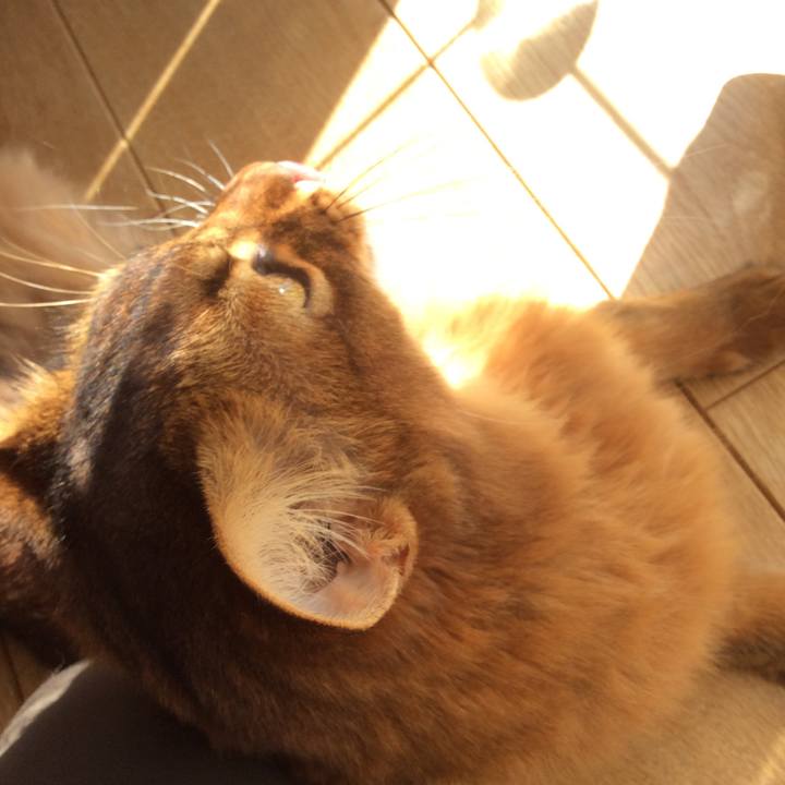 Da5add37 4890 4c70 a181 9c843d87bb75 1613958180012