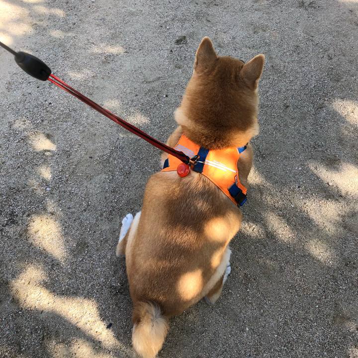 Da5b08f4 baa1 434d a239 12f22cd08416 1571198815937