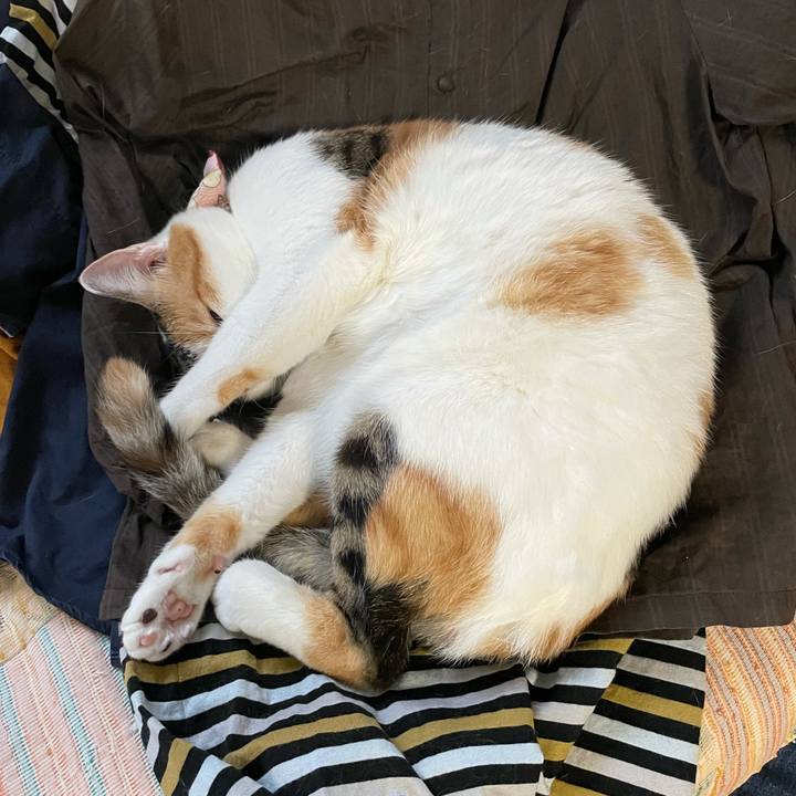 Da5b0e45 1a02 4f6b a4e9 9c890d24814c 1628761540543