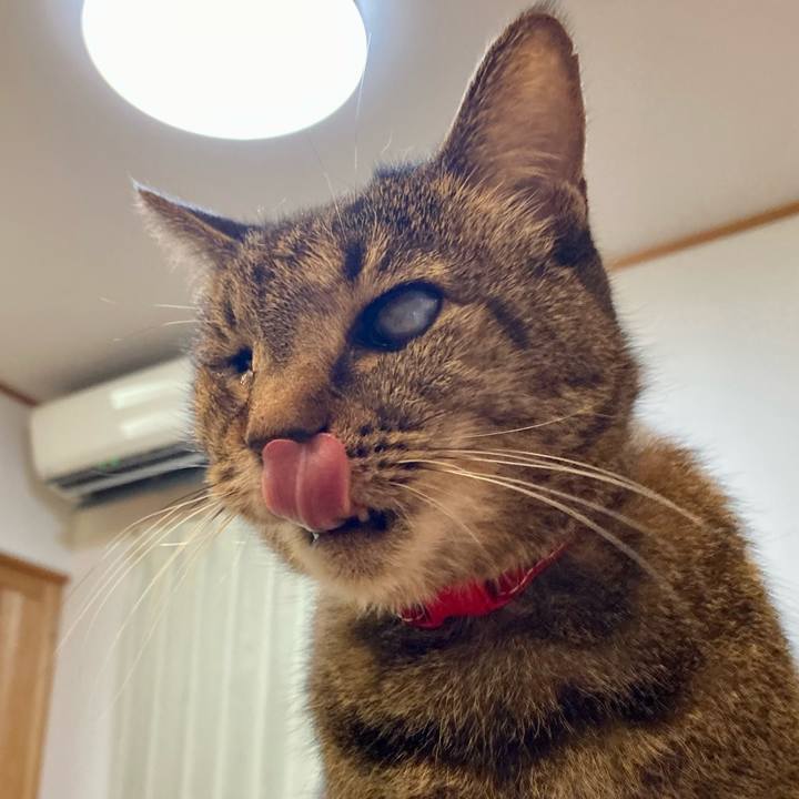 Da5b2e27 8d53 459d ada3 2e4f84feb55c 1643368003428