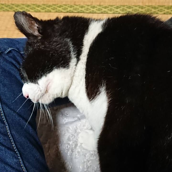 Da5b3c18 f6c8 40a0 bb14 f7877d16775a 1615197289976